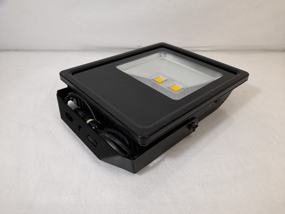 Xcite XCSF100WW 100W LED 3000K Slim Floodlight