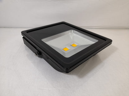 Xcite XCSF100WW 100W LED 3000K Slim Floodlight