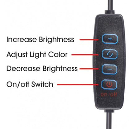 CAD CLS3 Light Ring with Telescoping Tripod Stand and Phone Holder