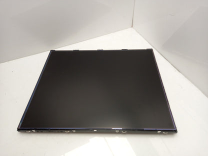 AU Optronics M190EG02 V4 19" LCD Replacement Display Screen