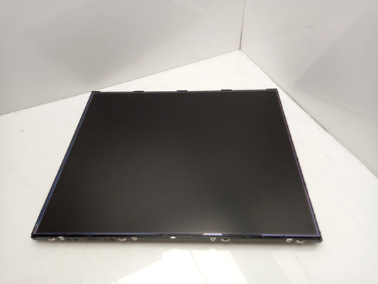 AU Optronics M190EG02 V4 19" LCD Replacement Display Screen