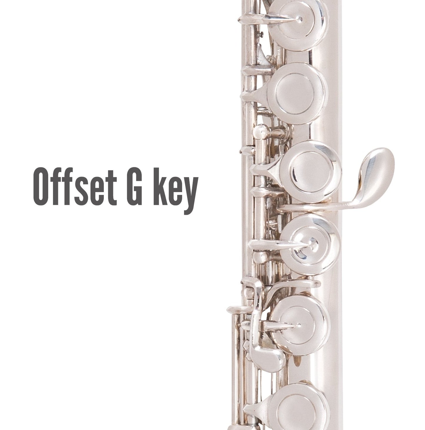 Odyssey Debut Curved Head Closed Hole 'C' Flute Outfit - With Case