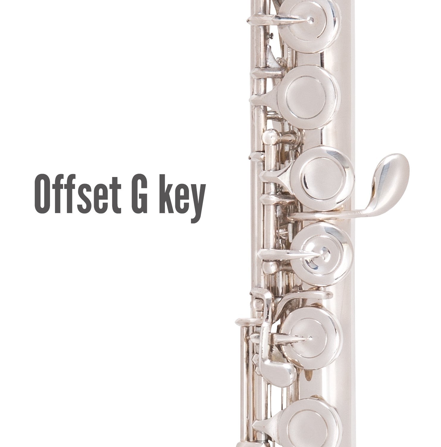 Odyssey Debut Curved Head Closed Hole 'C' Flute Outfit - With Case