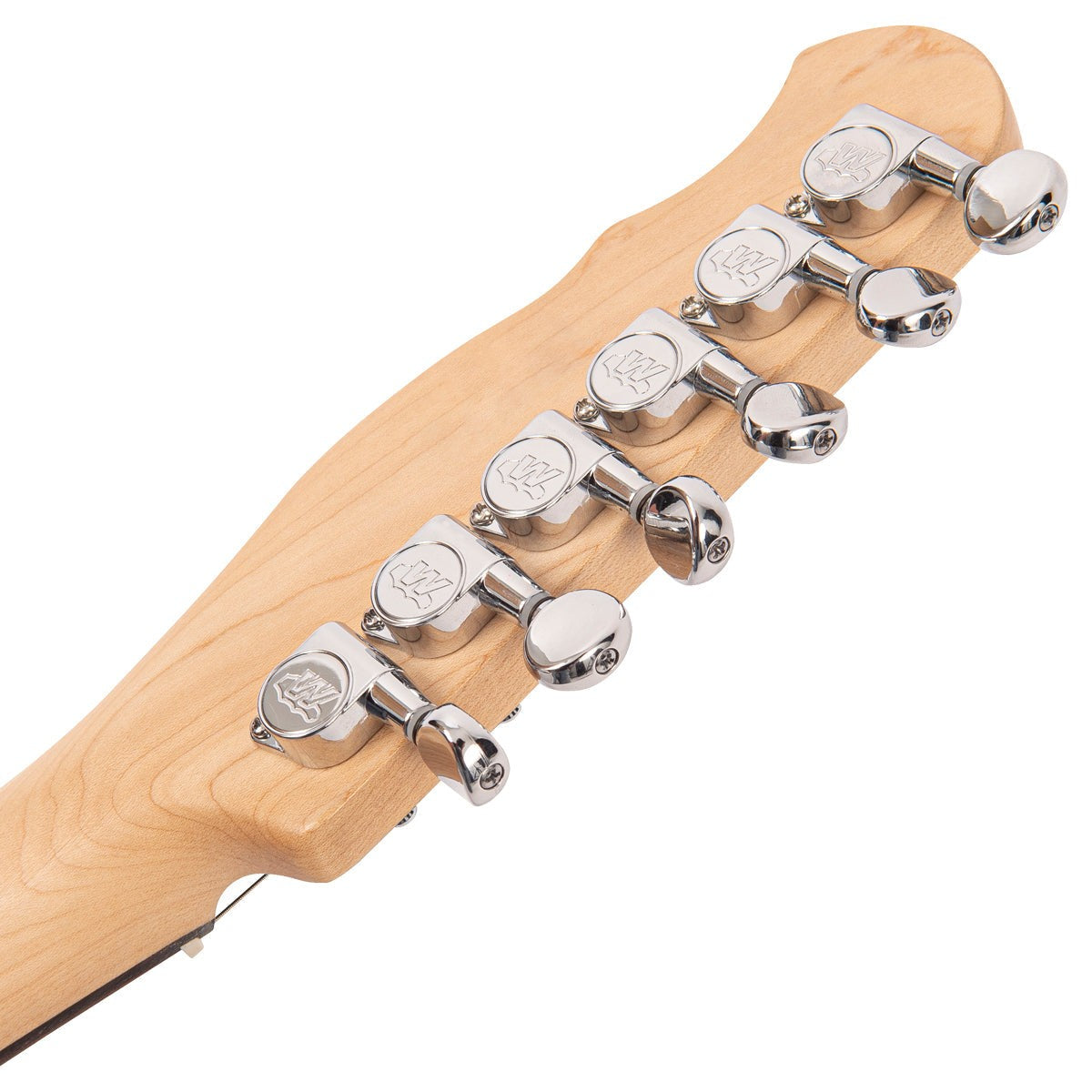 Fret-King Country Squire Stealth Electric Guitar ~ Gloss Black