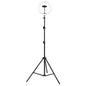 CAD CLS3 Light Ring with Telescoping Tripod Stand and Phone Holder