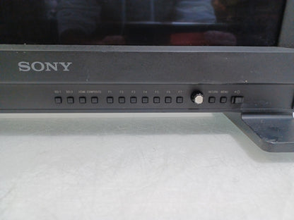 Sony Trimaster EL PVM-1741 17" 1920x1080 HDMI SDI OLED Monitor - Screen Burn