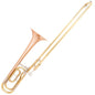 Odyssey Premiere 'Bb/F' Tenor Trombone Outfit - With Case