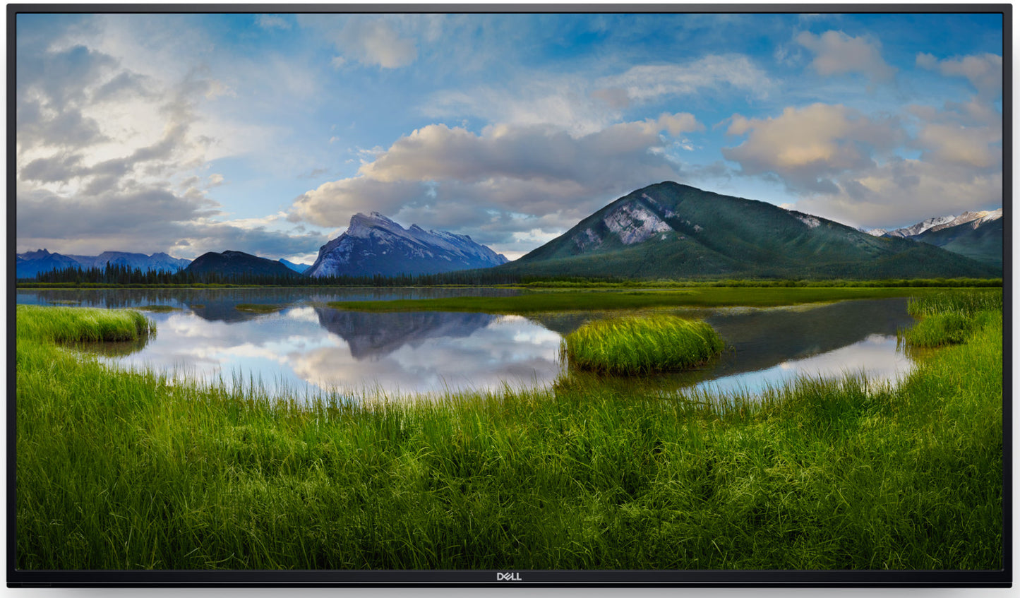 Dell C5519Q 55 Inch 4K Ultra HD HDMI Conference Room Monitor - Cracked Bezel